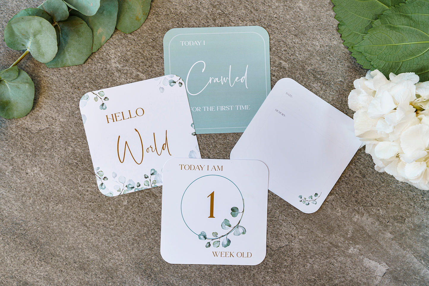 Botanical Memory Book & Milestone Cards Gift Set