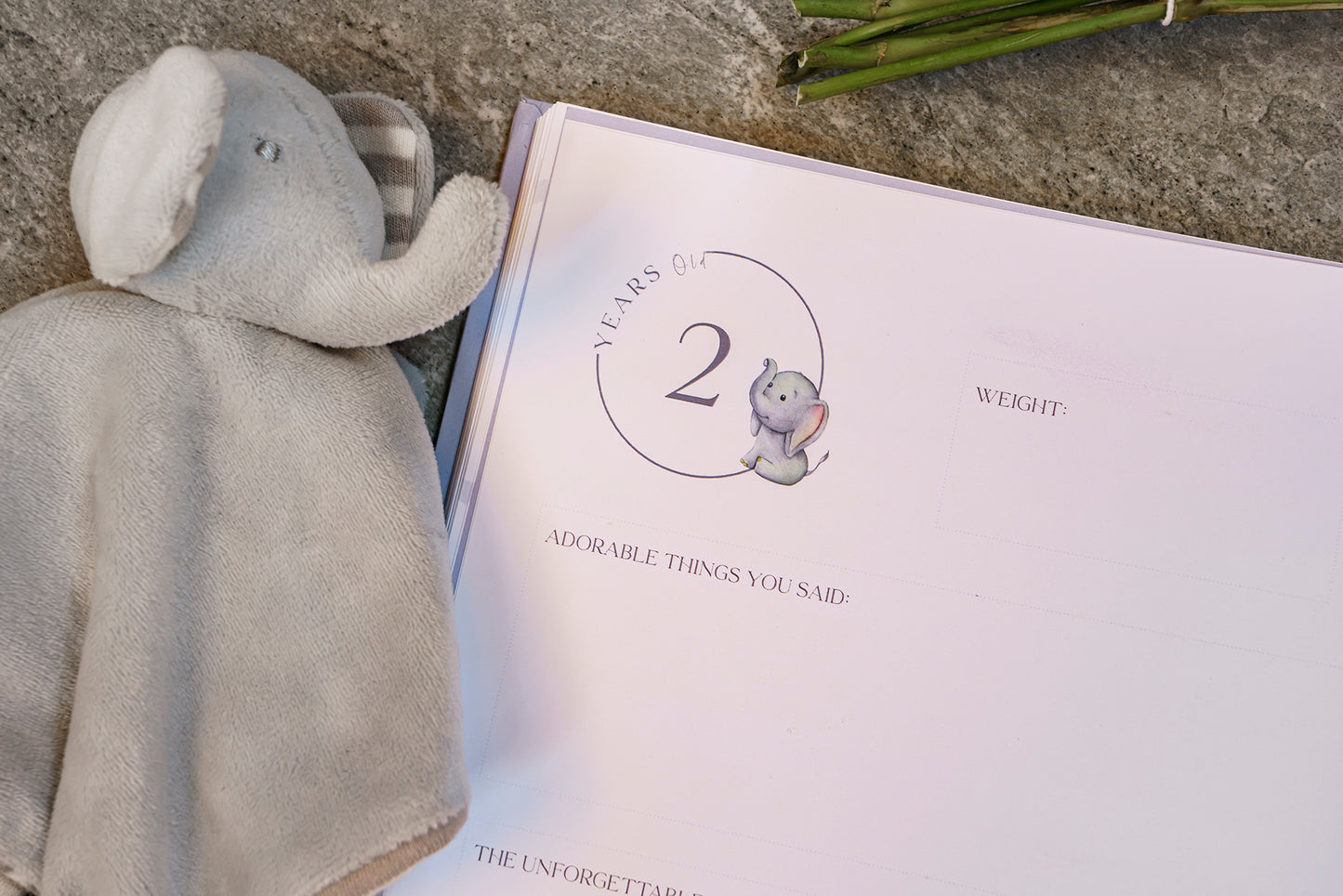 Baby Memory Book - Elephant