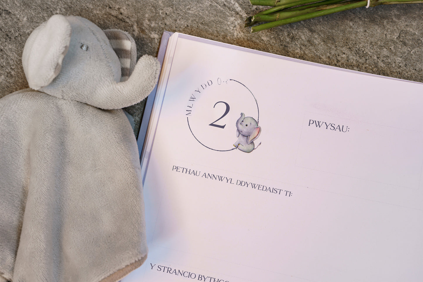 Welsh Baby Memory Book - Elephant