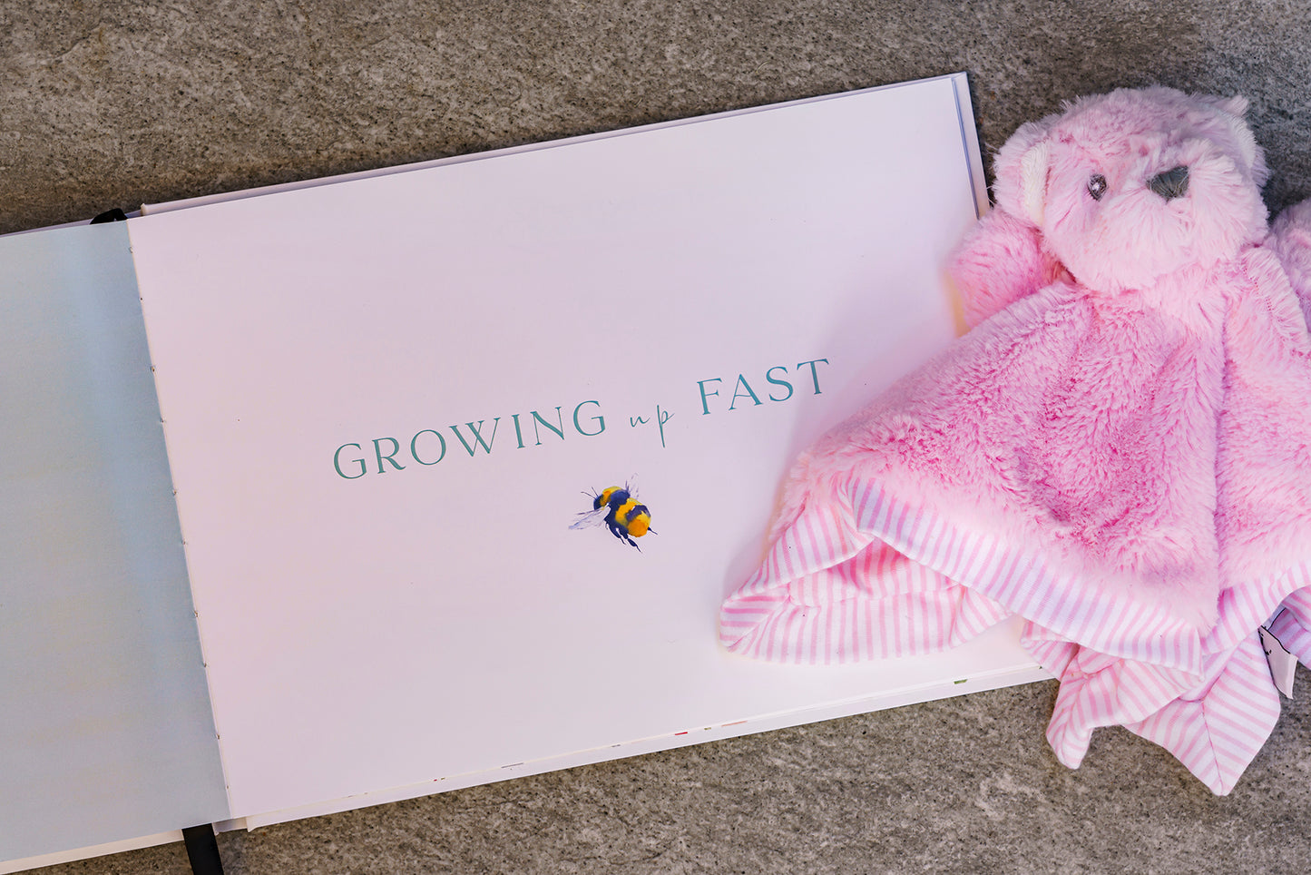 Baby Memory Book - Bee